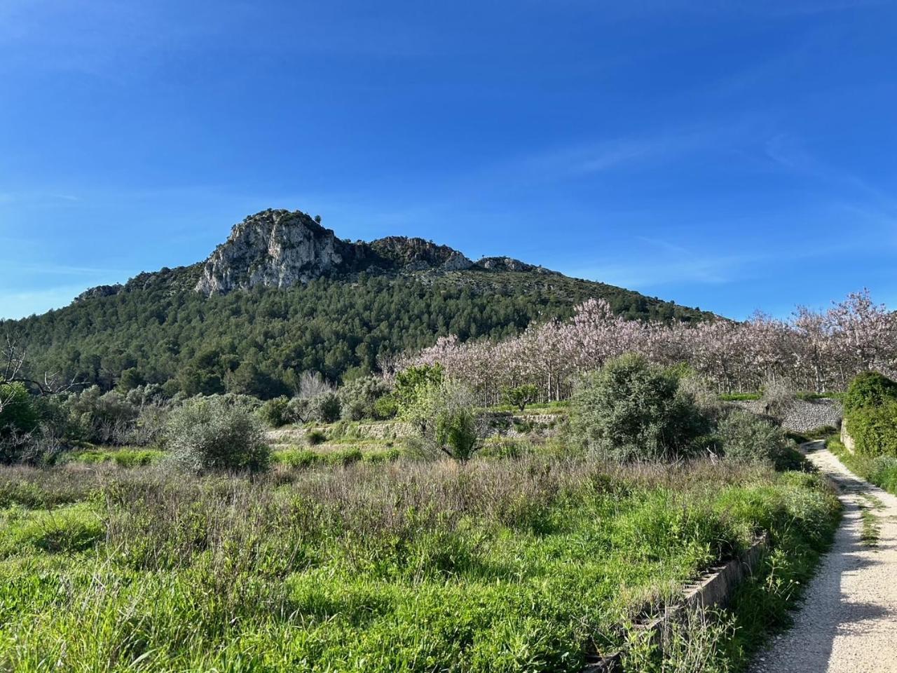 Casa Lima Villa Orba Eksteriør bilde